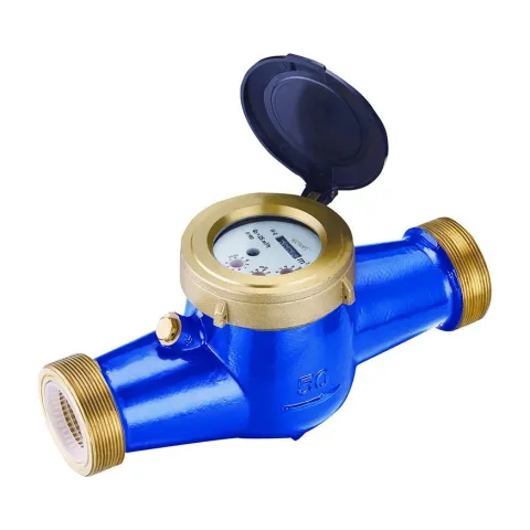 The DN50 size of a Metrys R160 multi-jet semi-liquid sealed water meter, with large brass threaded connections on a blue body.
